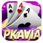 pk-avia game