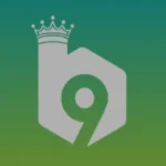 B9 Game